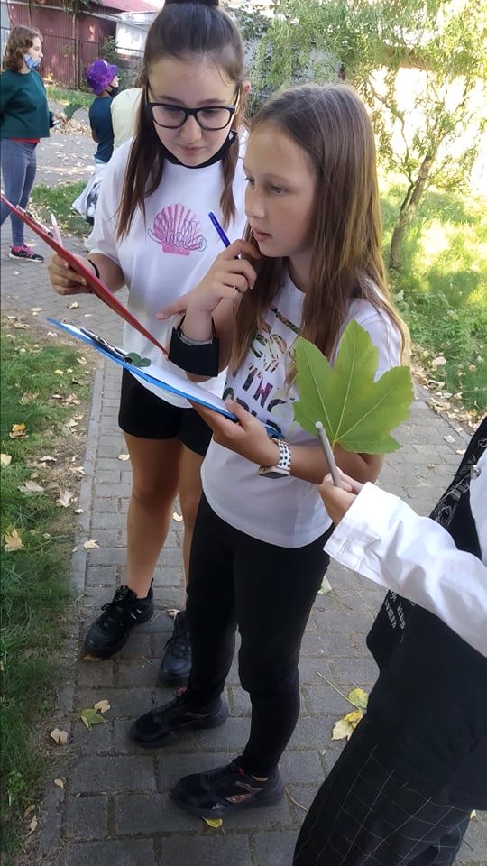 Uczennice myślące nad opisem liścia